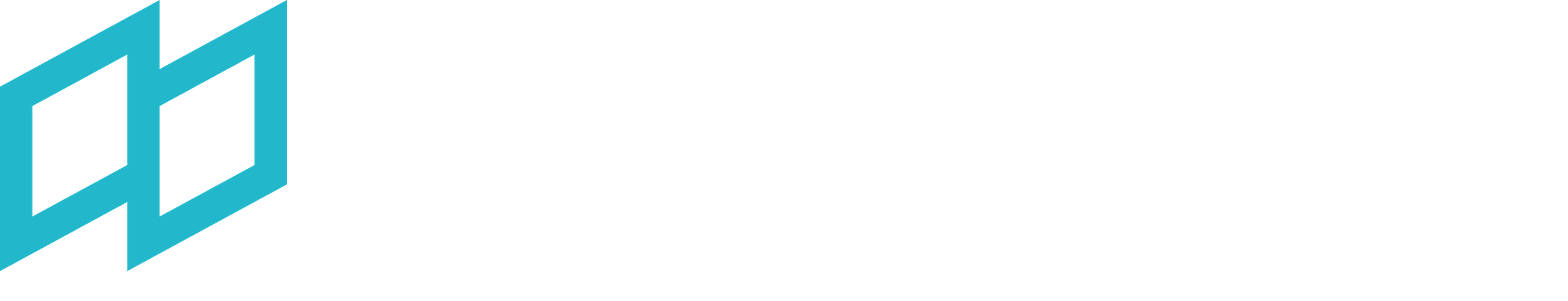Nexlayer Logo